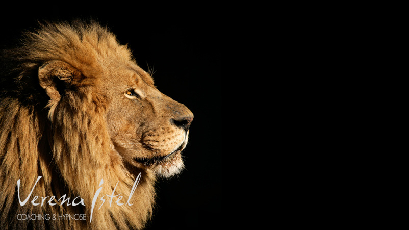 Trainiere Deinen Erfolg!