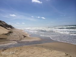 Danke – Danke – Danke